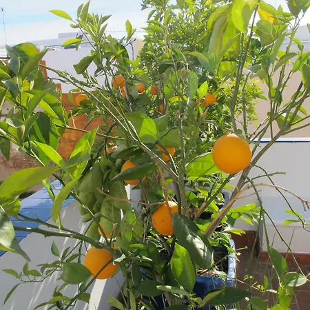 Bed & Breakfast Casa Alfareria 59